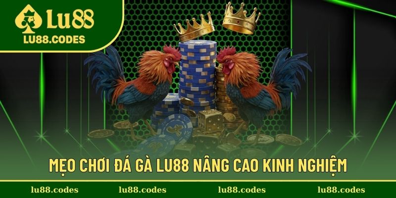 Tổng hợp mẹo đánh an toàn