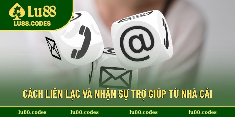 Các quy trình thực hiện liên hệ