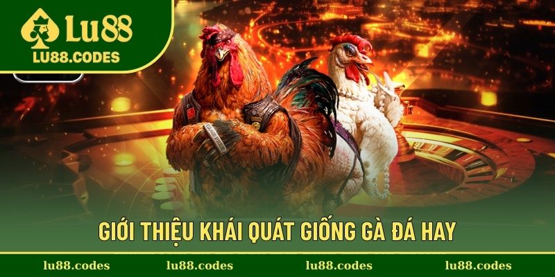 Những chia sẻ về giống gà đá hay