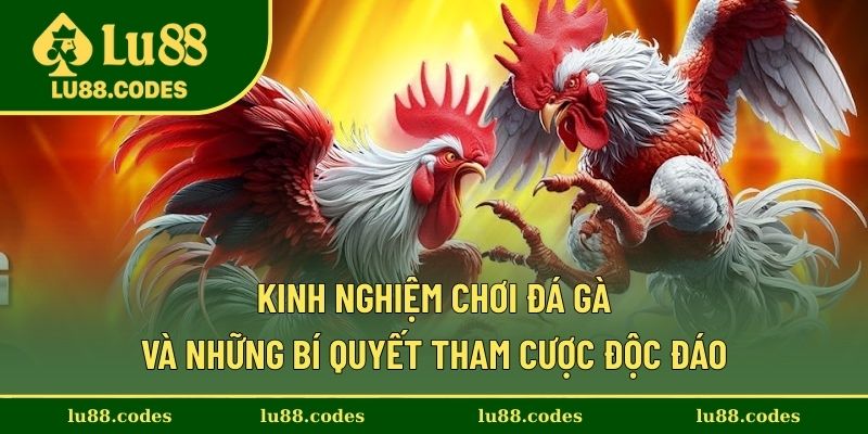Kinh Nghiệm Chơi Đá Gà Và Những Bí Quyết Tham Cược Độc Đáo