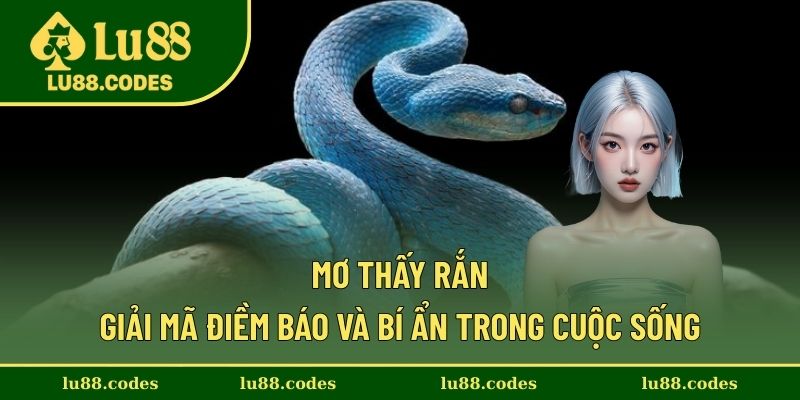 Mơ Thấy Rắn - Giải Mã Điềm Báo Và Bí Ẩn Trong Cuộc Sống