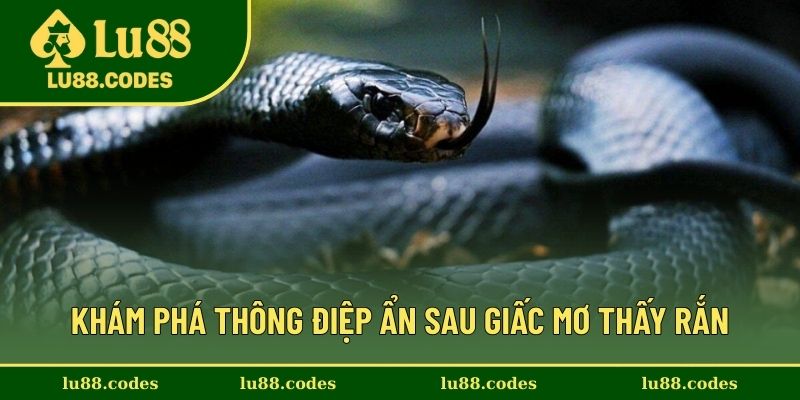 Những lời giải mã giấc mộng
